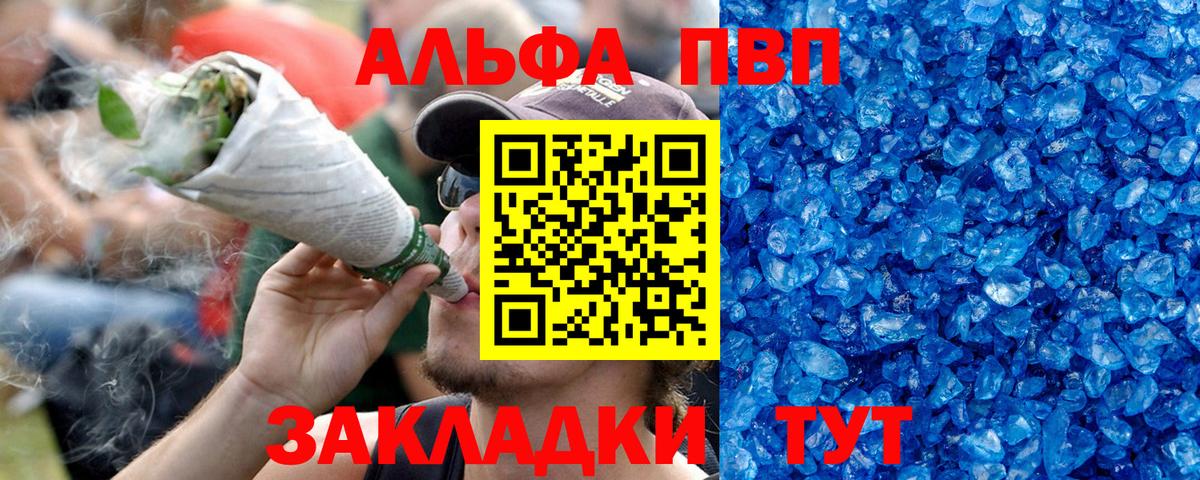 A PVP СК Кингисепп