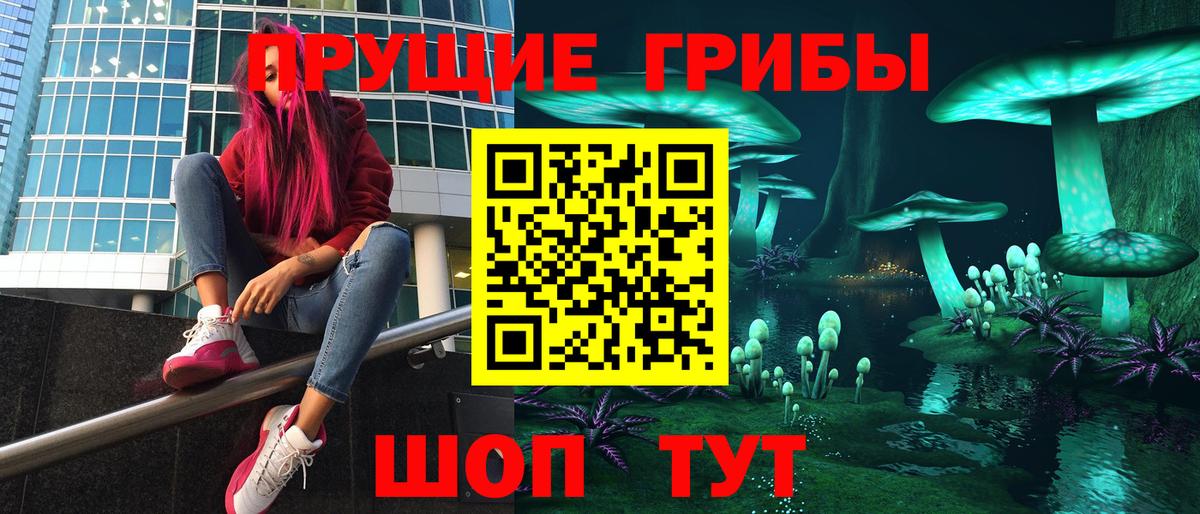 Псилоцибиновые грибы Psilocybe Кингисепп