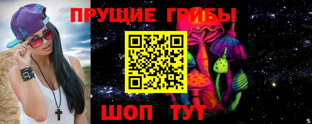 Галлюциногенные грибы Cubensis  Вход с VPN  Кингисепп 