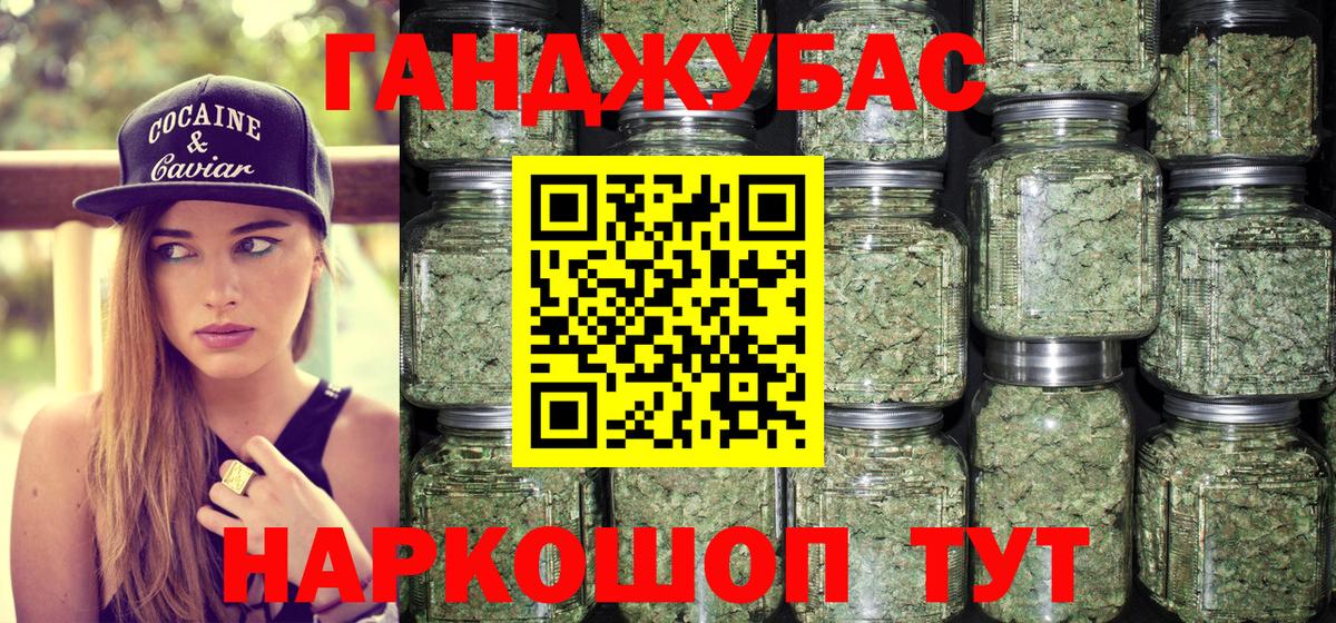 Конопля сатива Кингисепп